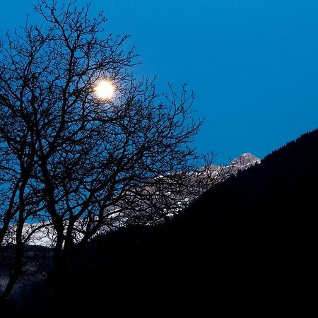 Appartamento Dolomiti di Brenta House Madonna Esterno foto