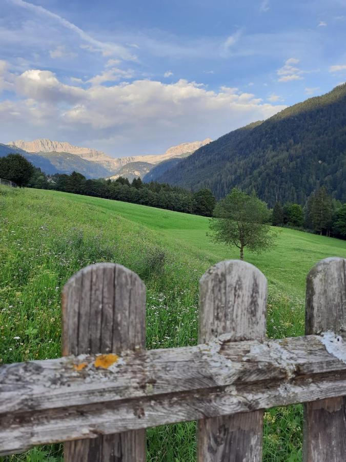 Appartamento Dolomiti di Brenta House Madonna Esterno foto