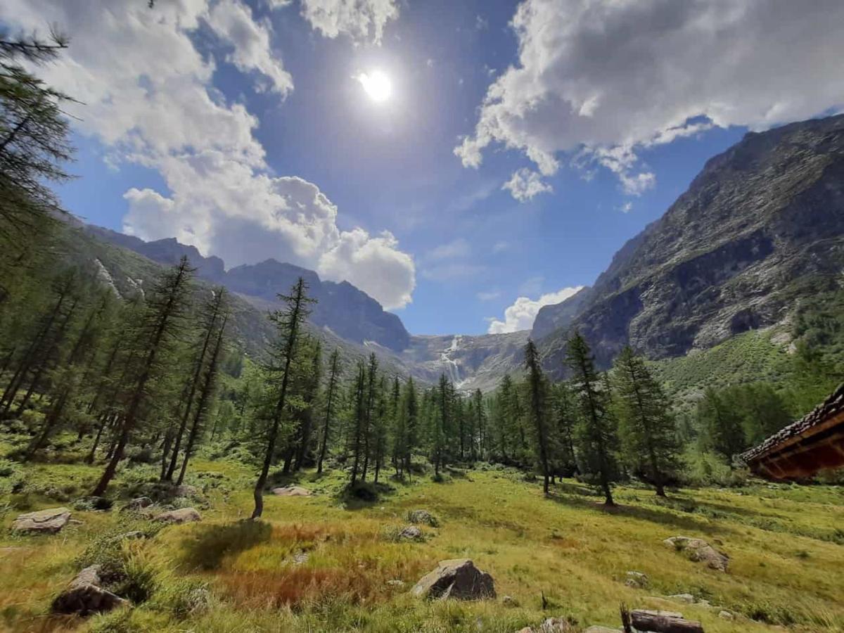 Appartamento Dolomiti di Brenta House Madonna Esterno foto