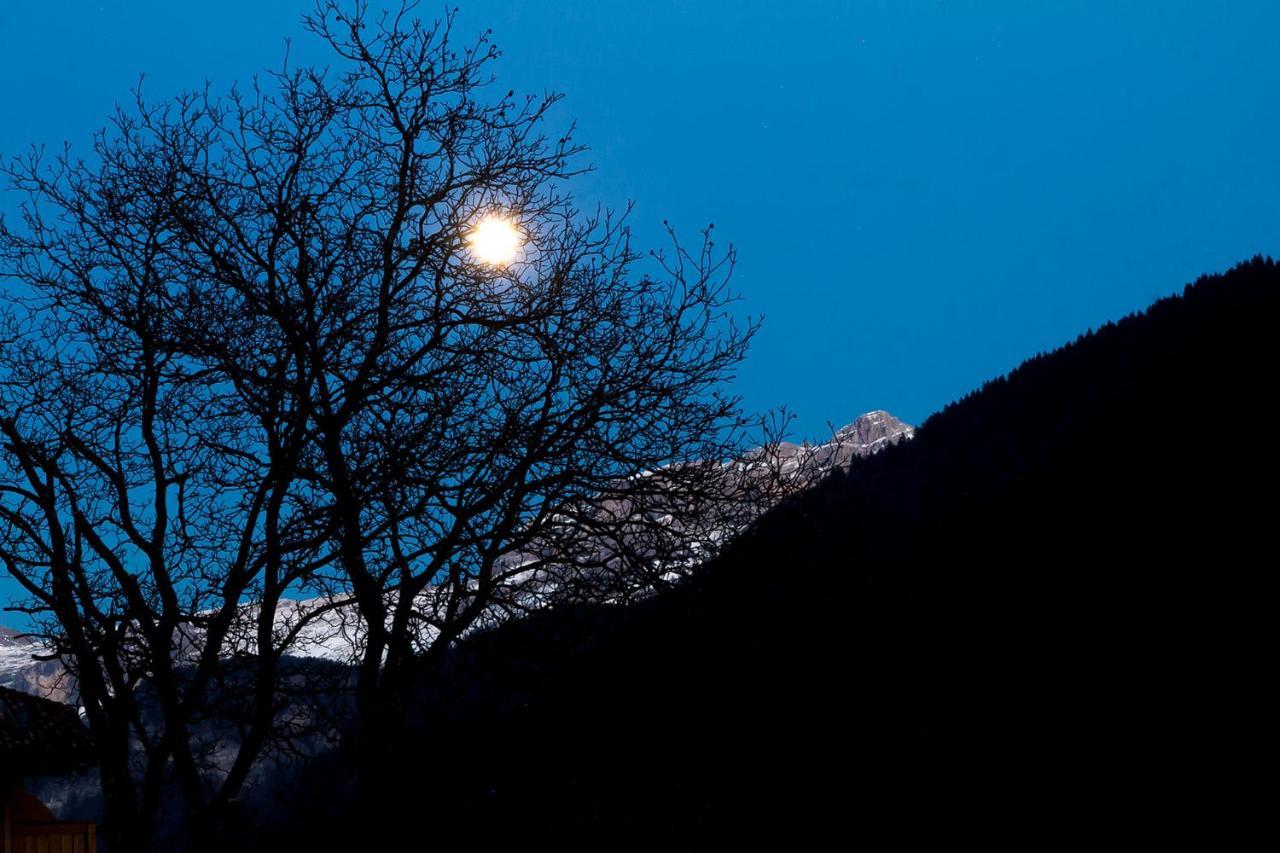 Appartamento Dolomiti di Brenta House Madonna Esterno foto